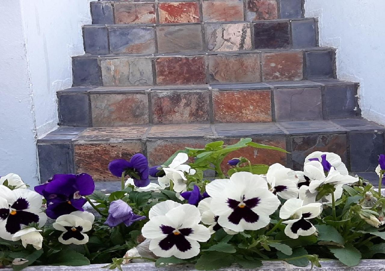 The Greenhouse Guesthouse Кейптаун Екстериор снимка